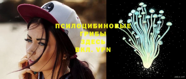 PSILOCYBIN Алзамай