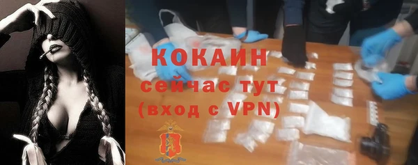 крисы Абаза