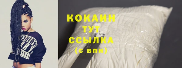 крисы Абаза