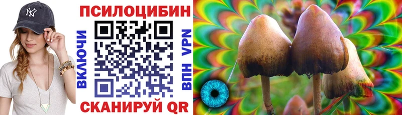 Псилоцибиновые грибы Psilocybine cubensis  где можно купить наркотик  Ясный 
